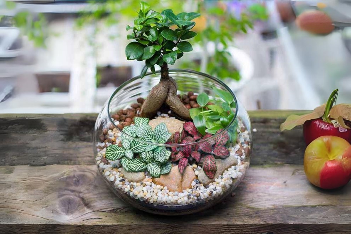 Tiểu cảnh mini trong chậu thủy tinh kết hợp cây sen đá