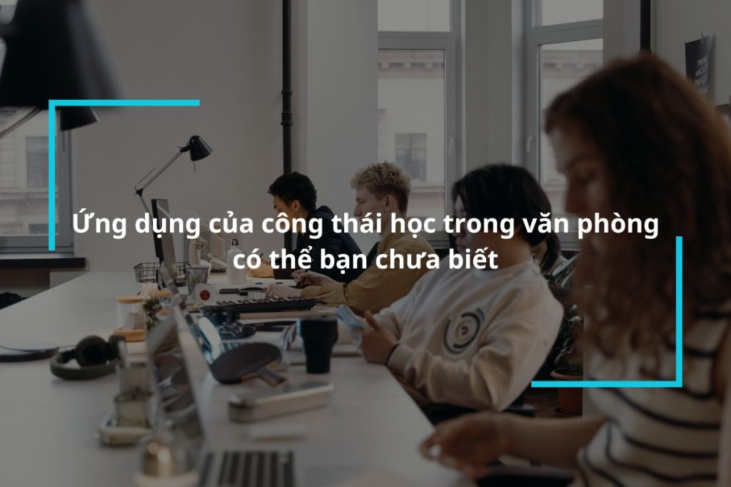 Tìm hiểu chi tiết về ứng dụng của công thái học trong văn phòng