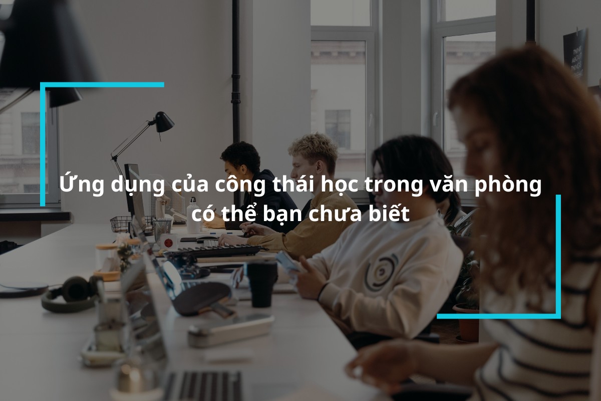 Tìm hiểu chi tiết về ứng dụng của công thái học trong văn phòng
