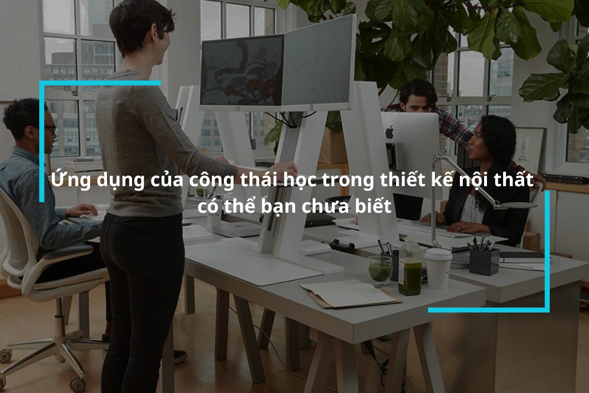 Ứng dụng của công thái học trong thiết kế nội thất