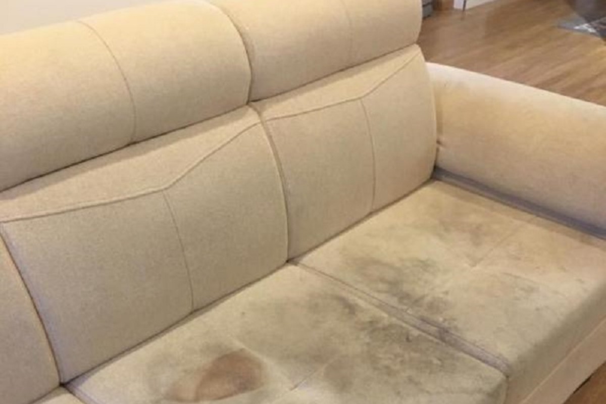 Nguyên nhân khiến ghế sofa bị mốc