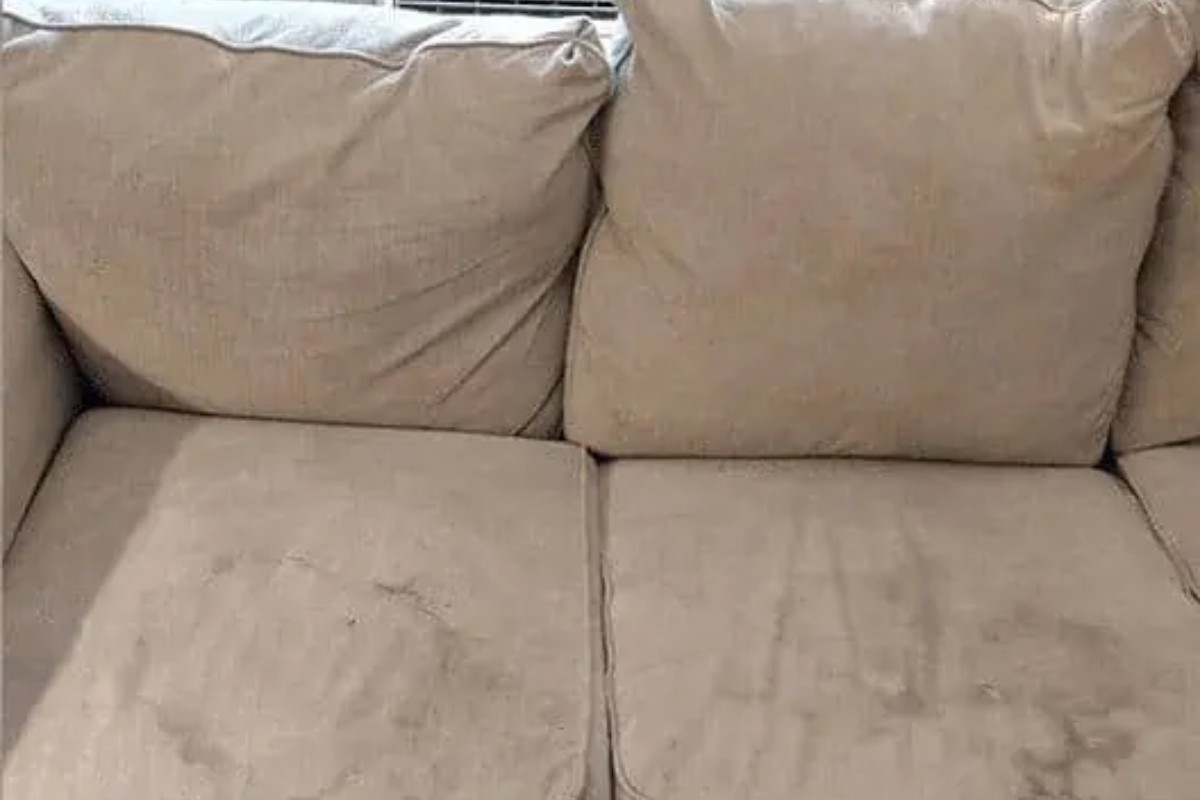 Dấu hiệu nhận biết sofa bị mốc