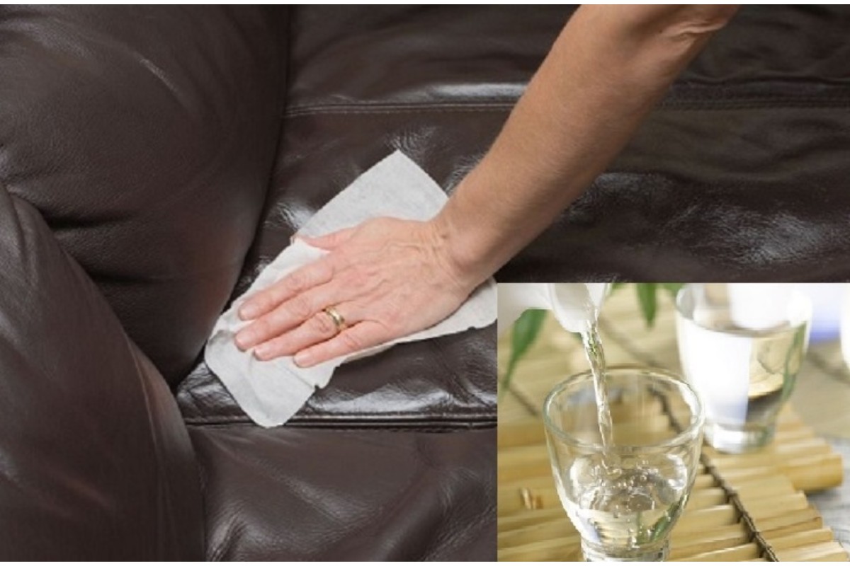 Cách xử lý vết nấm mốc trên ghế sofa da