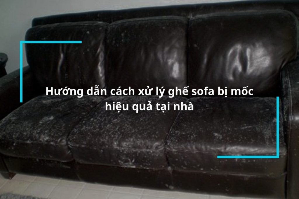 Hướng dẫn cách xử lý ghế sofa bị mốc hiệu quả tại nhà