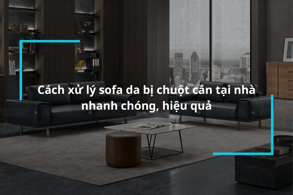 Hướng dẫn cách xử lý sofa da bị chuột cắn tại nhà nhanh chóng, hiệu quả