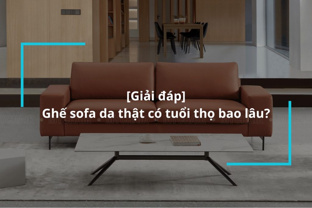 Ghế sofa da thật có thể dùng được trong bao lâu?