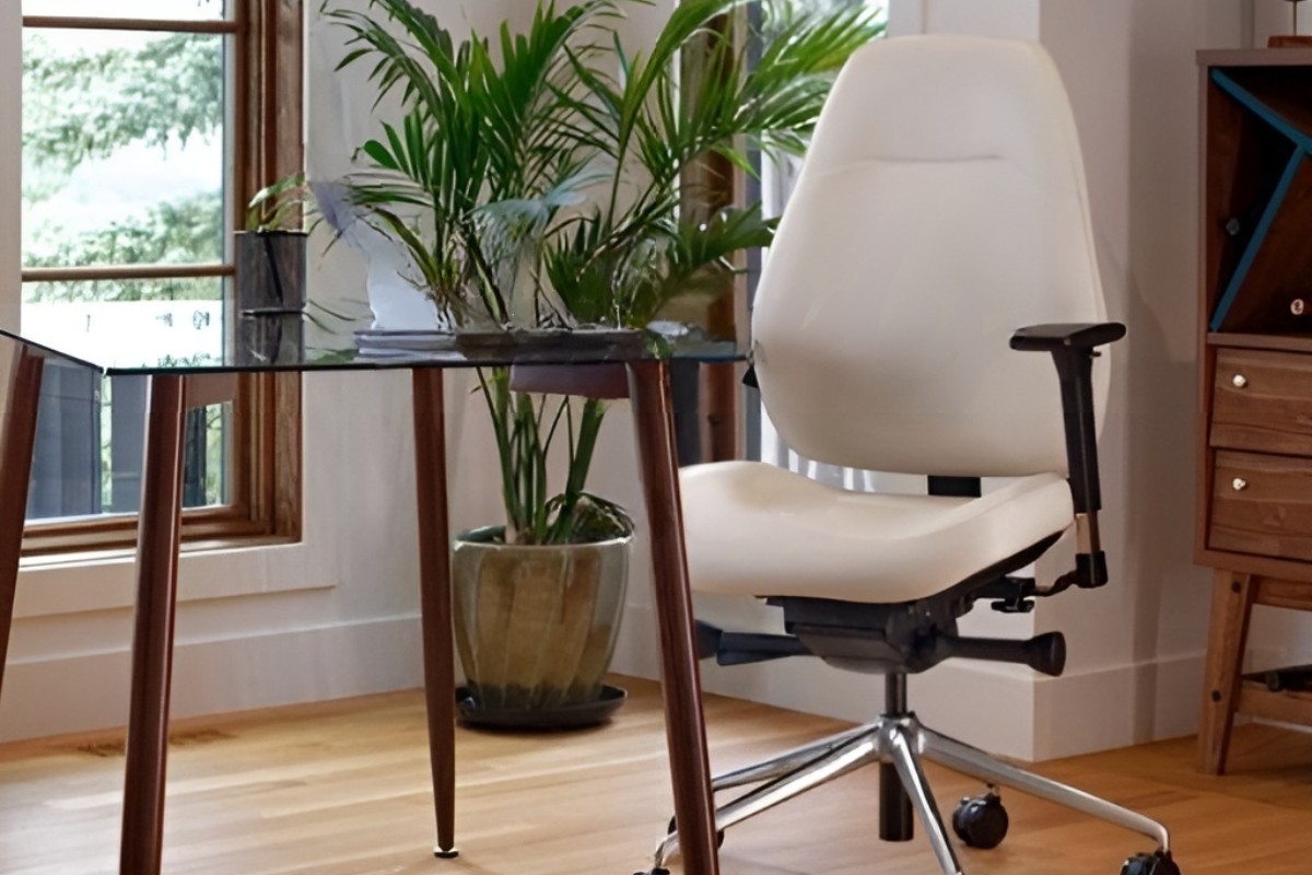 Ghế xoay văn phòng lưng bầu hỗ trợ lưng