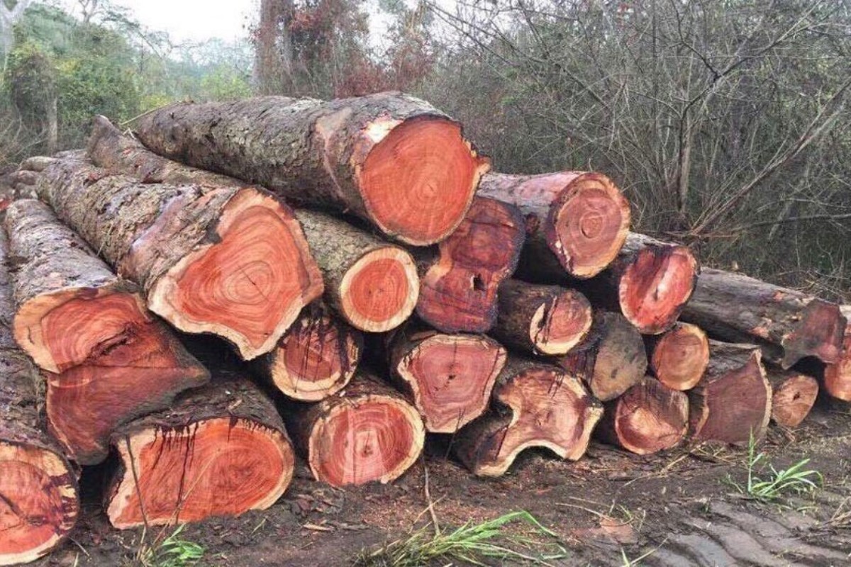 Bàn giám đốc làm từ gỗ hương bền đẹp