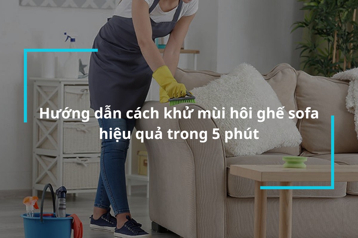 Hướng dẫn cách khử mùi hôi ghế sofa hiệu quả trong 5 phút