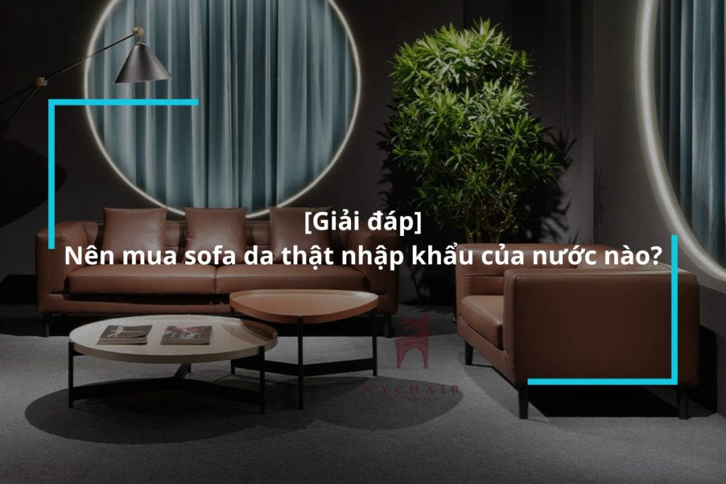 Nên mua sofa da thật nhập khẩu của nước nào?