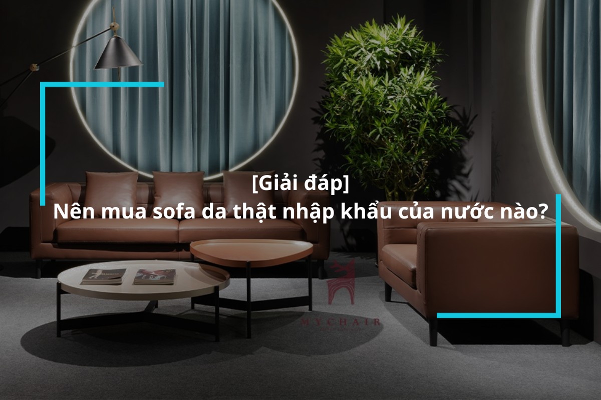 Nên mua sofa da thật nhập khẩu của nước nào?