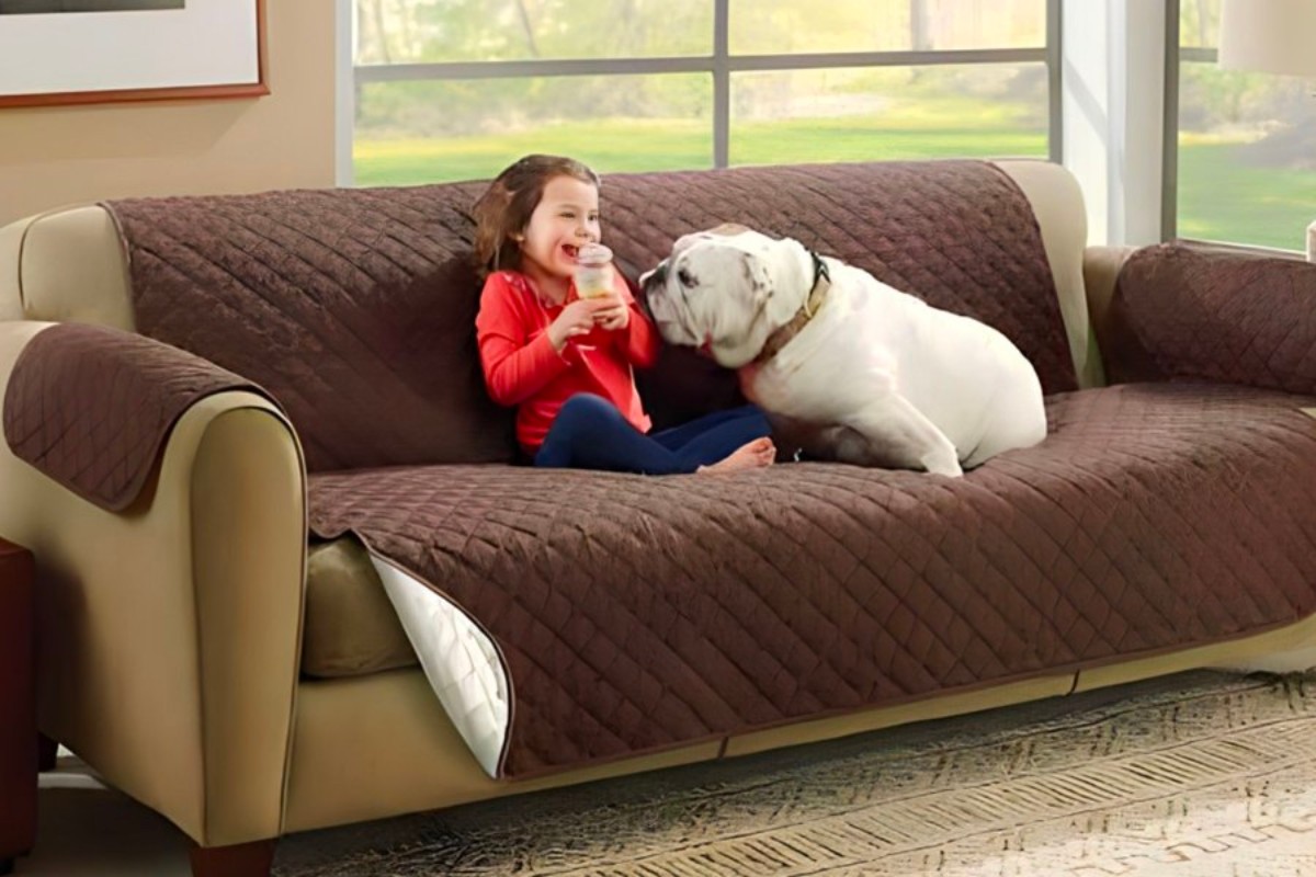 Mùi cơ thể và mô hôi khó chịu cho sofa