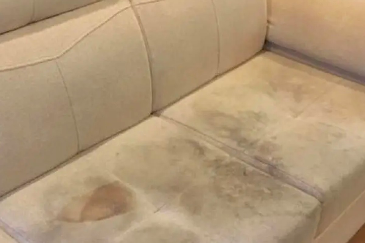 Ẩm mốc có thể gây mùi hôi trên sofa