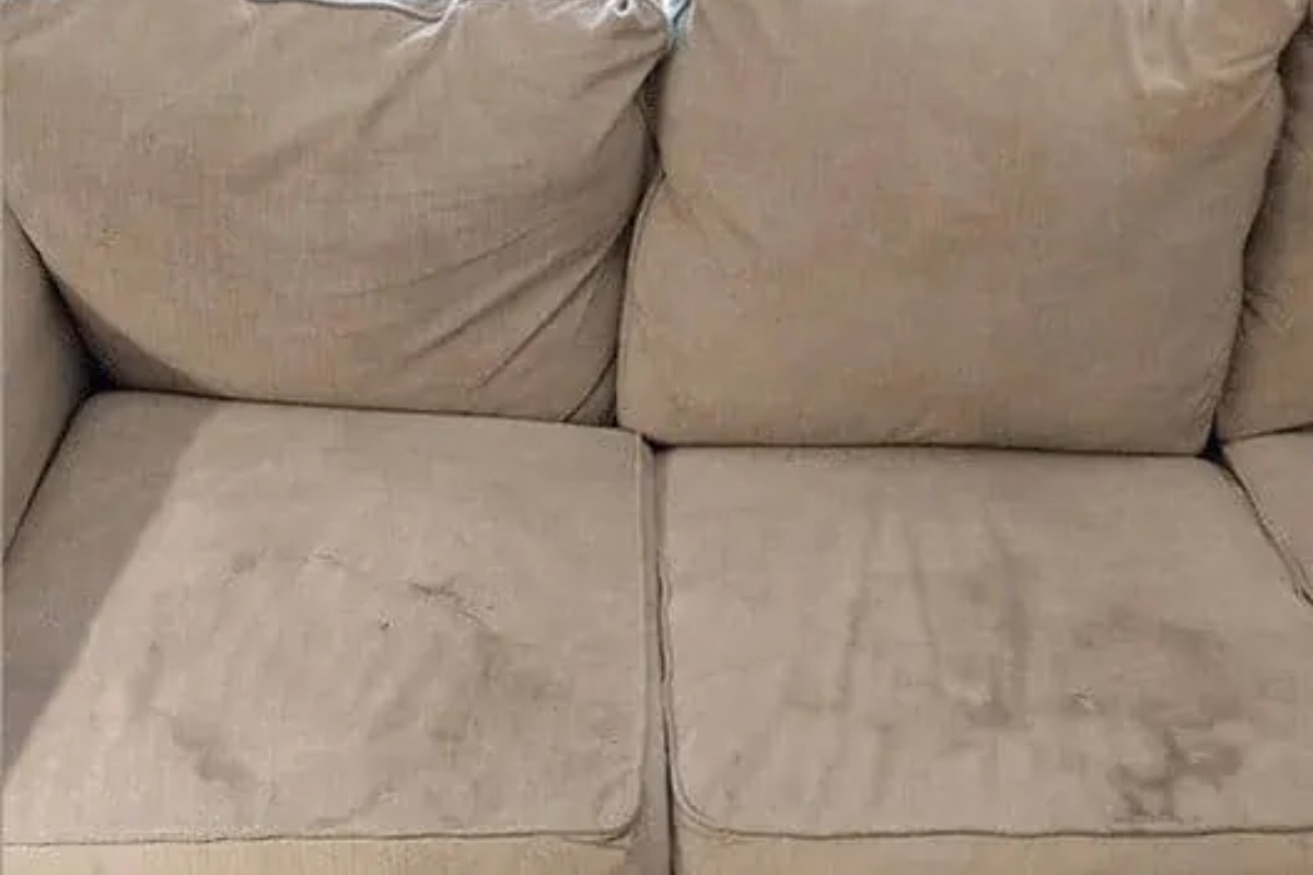 Bạn cần phân loại các vết bẩn trên sofa