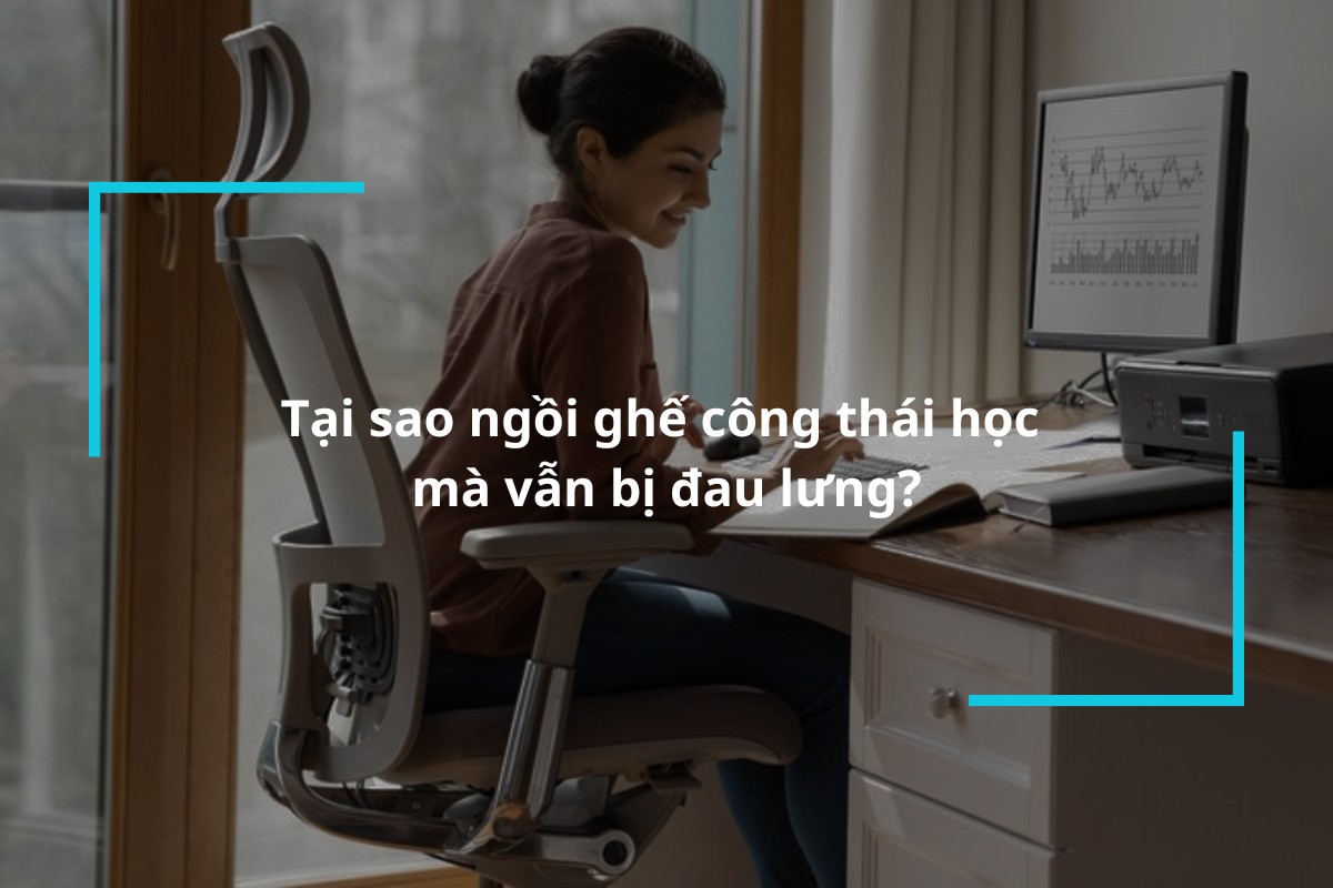 Tại sao ngồi ghế công thái học mà vẫn bị đau lưng?