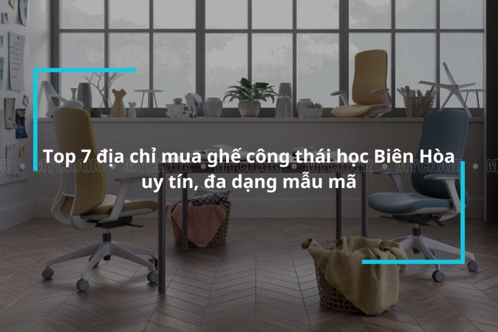 Top 7 địa chỉ mua ghế công thái học Biên Hòa giá rẻ, chất lượng