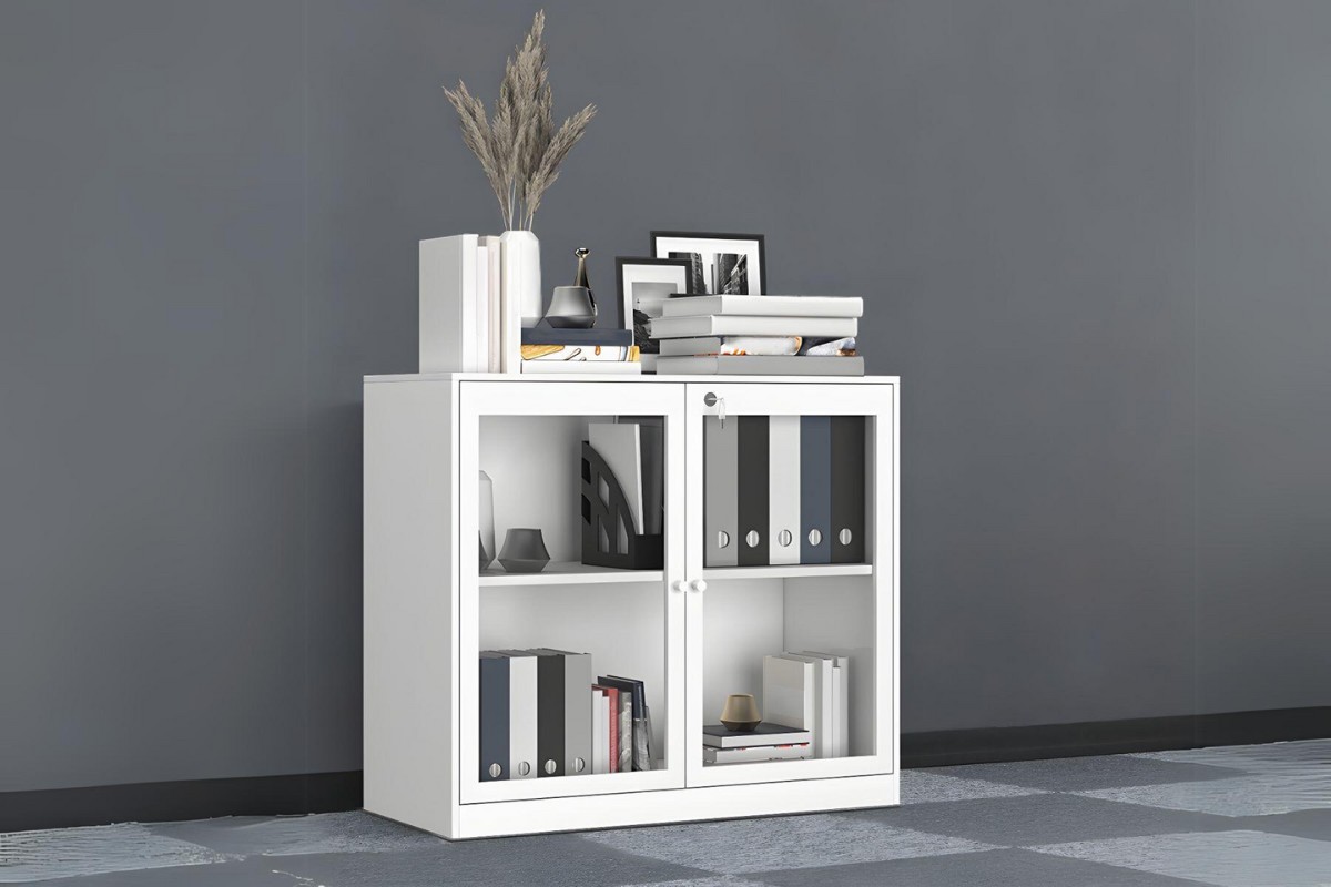 Tủ hồ sơ mini cửa kính trong suốt