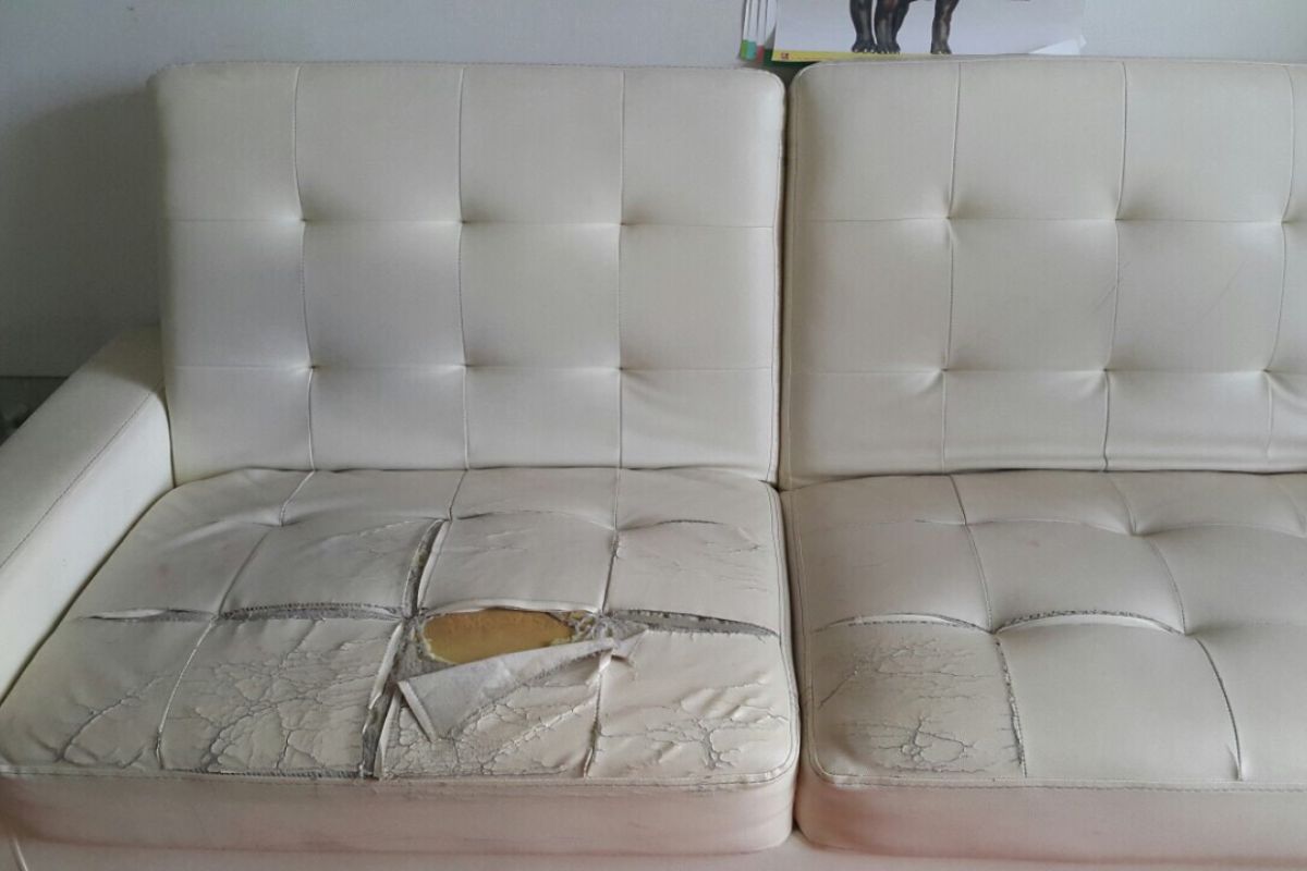 Đánh giá kỹ tình trạng sofa cũ trước khi mua