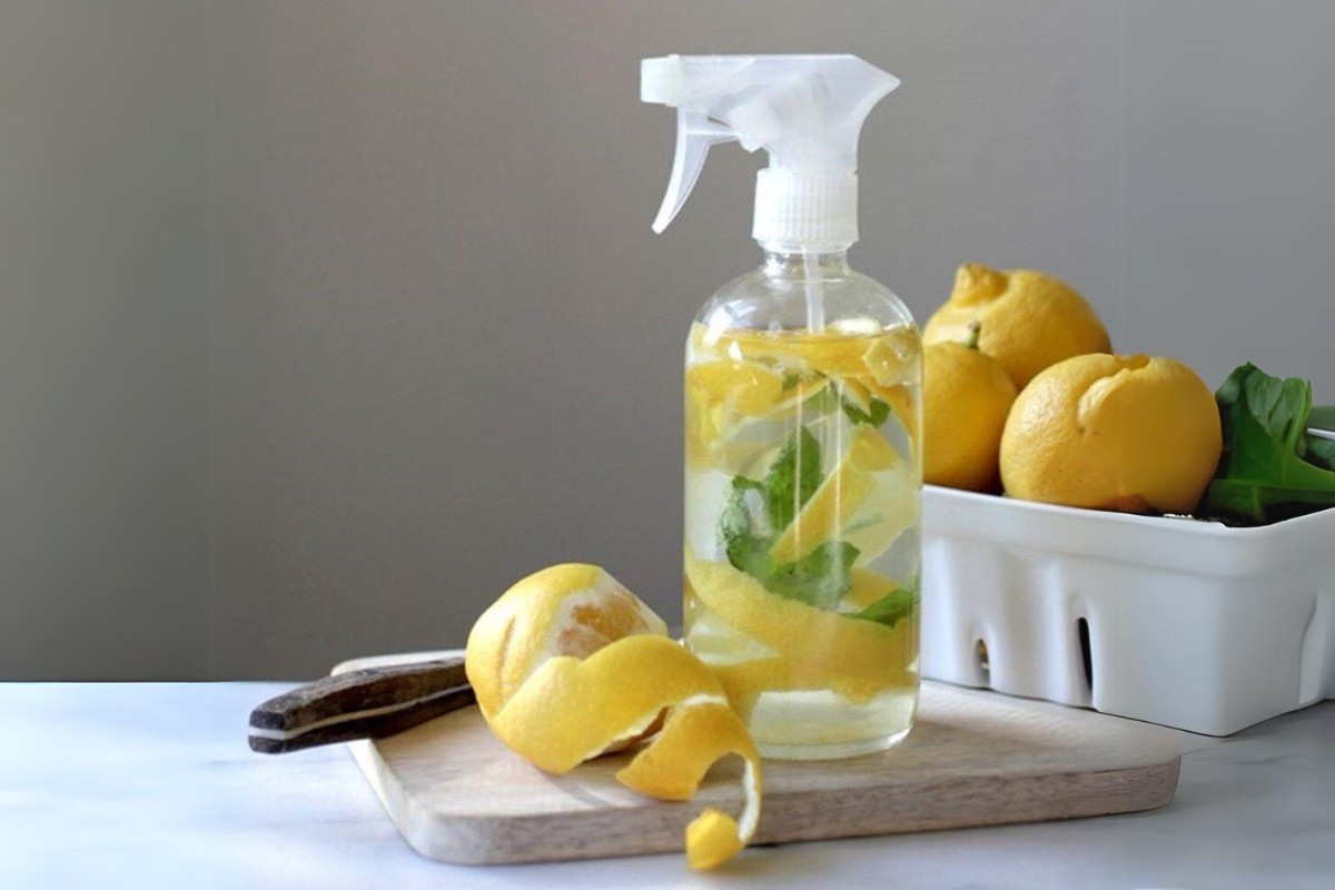 Cách trị mối bằng chanh, giấm