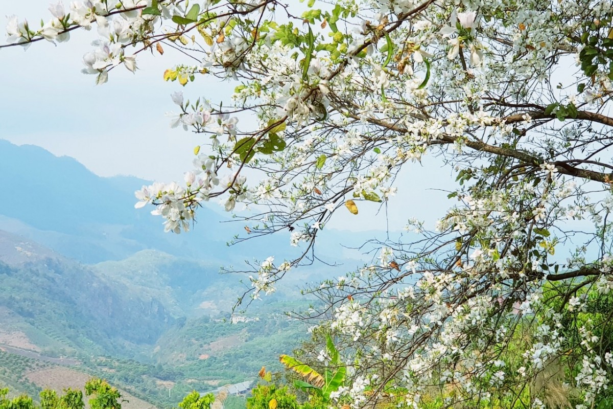 Địa điểm du xuân Mai Châu