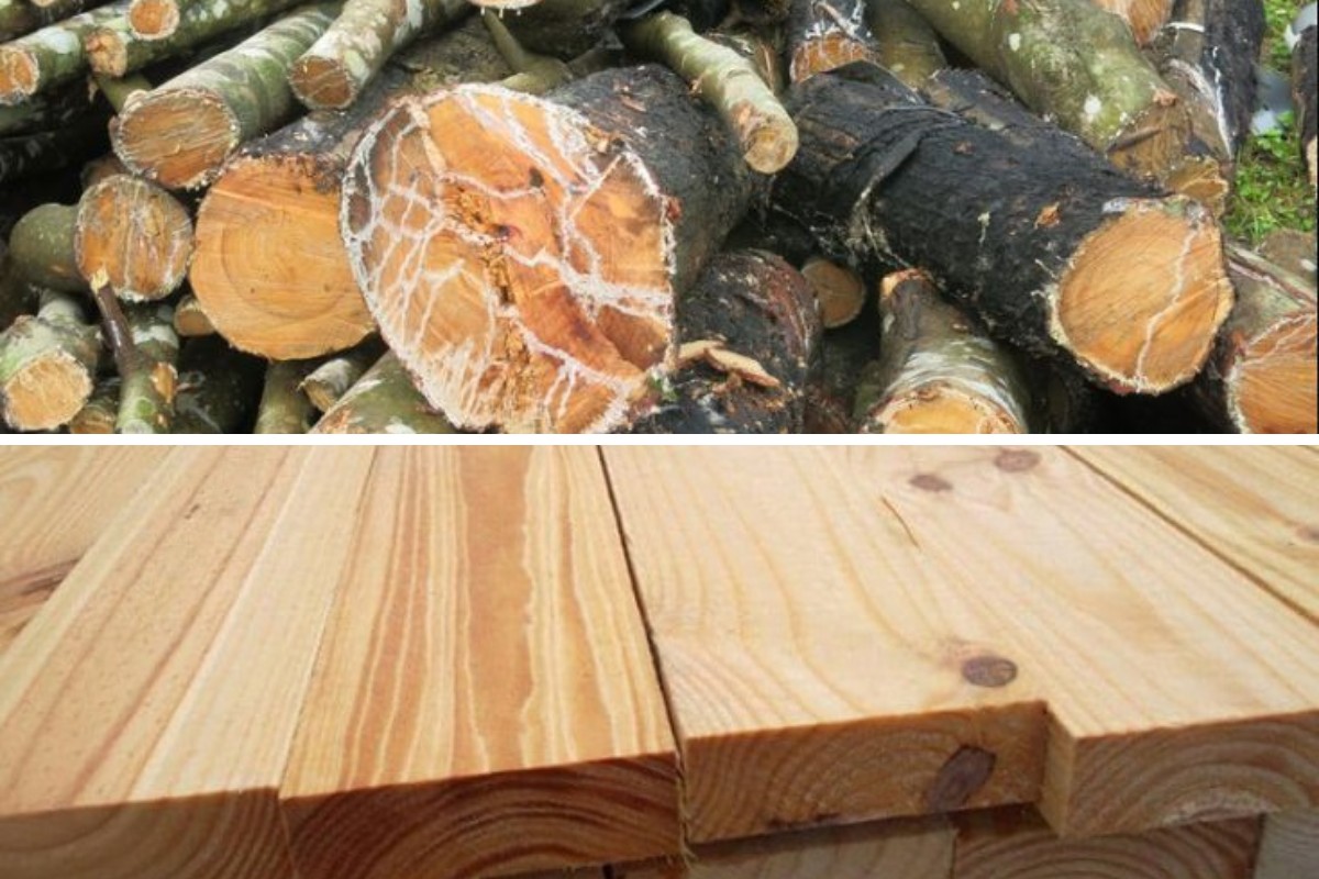 Tìm hiểu về gỗ cao su