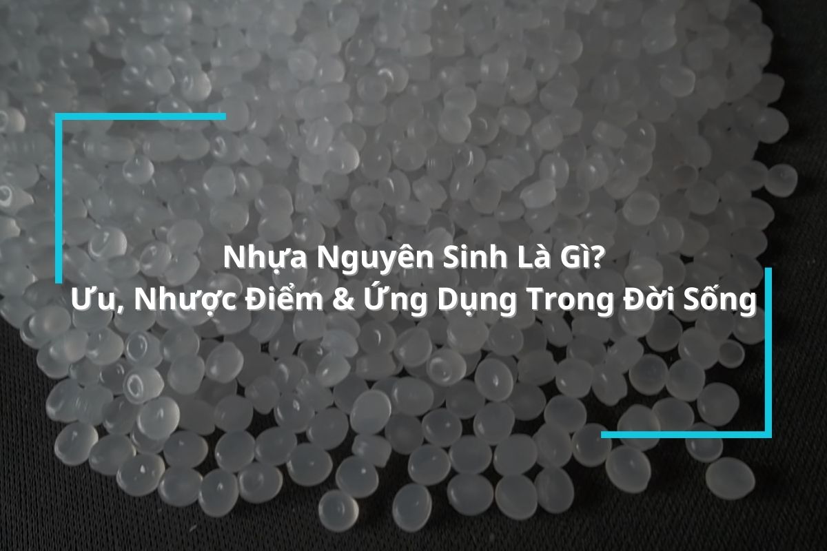 Nhựa Nguyên Sinh Là Gì? Ưu Nhược Điểm & Ứng Dụng Trong Đời Sống