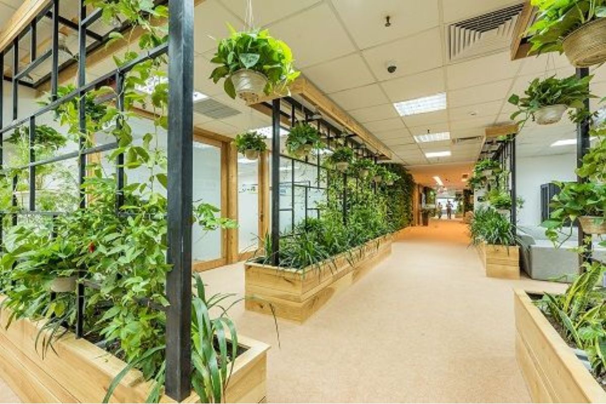 Nhược điểm của văn phòng xanh