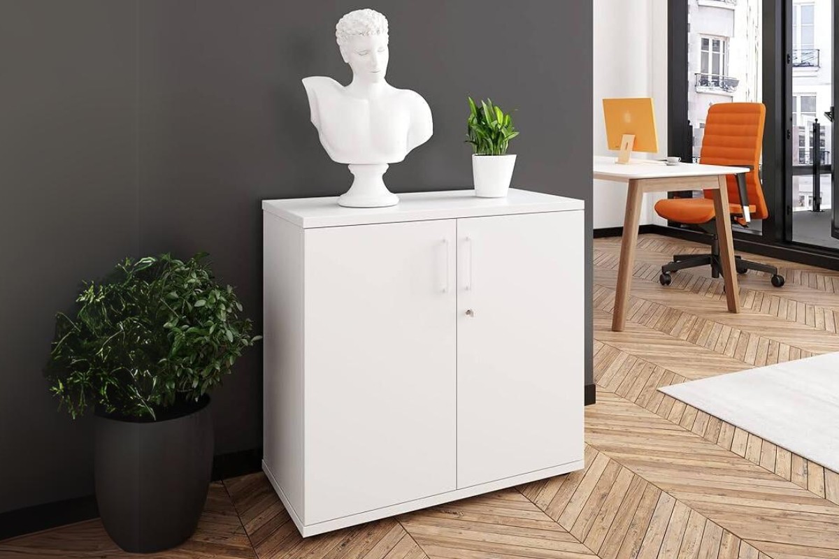 Tủ tài liệu thấp 2 cánh