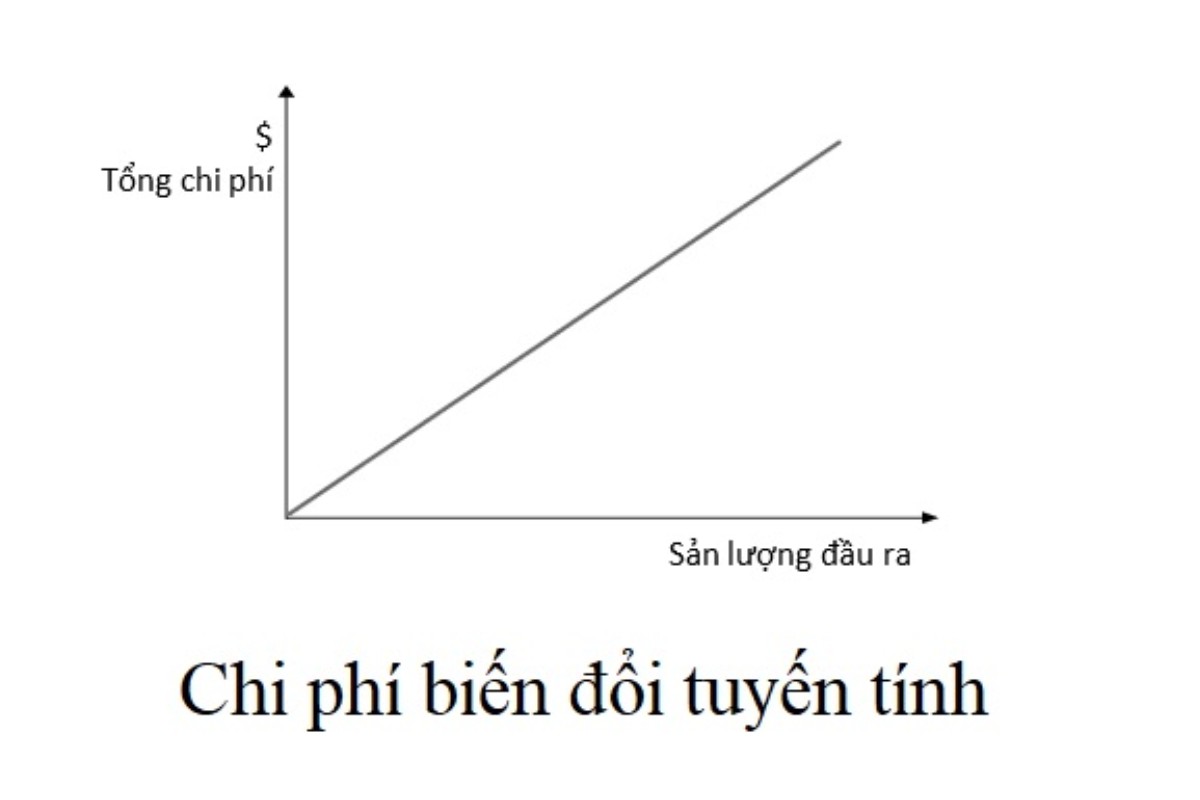Chi phí biến đổi tuyến tính