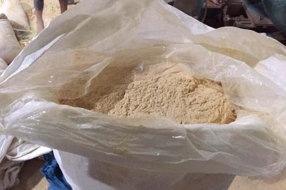 Gỗ keo được ứng dụng trong ngành sản xuất giấy