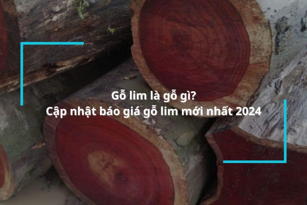 Gỗ lim là gỗ gì? Cập nhật báo giá gỗ lim mới nhất 2024