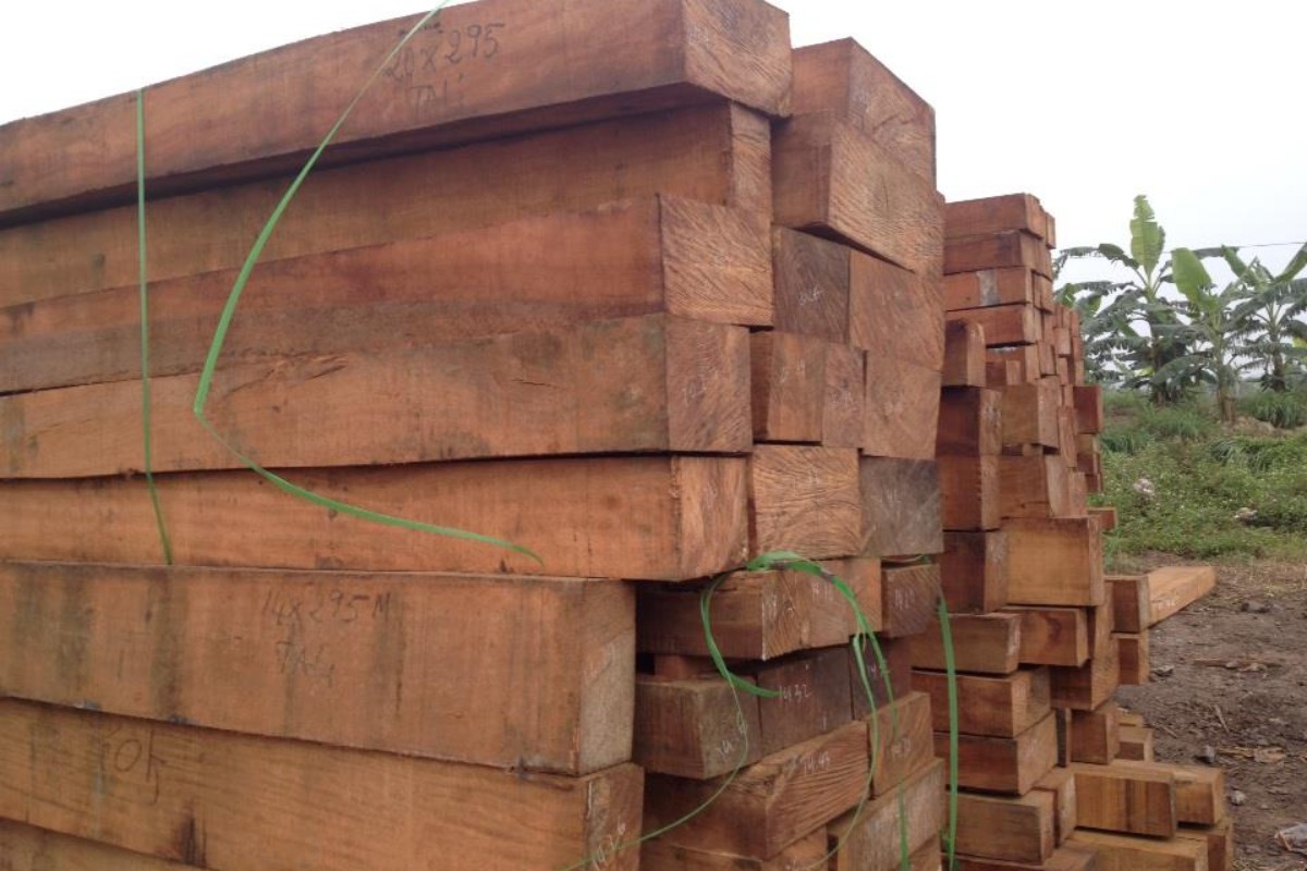 Một số câu hỏi thường gặp về gỗ lim