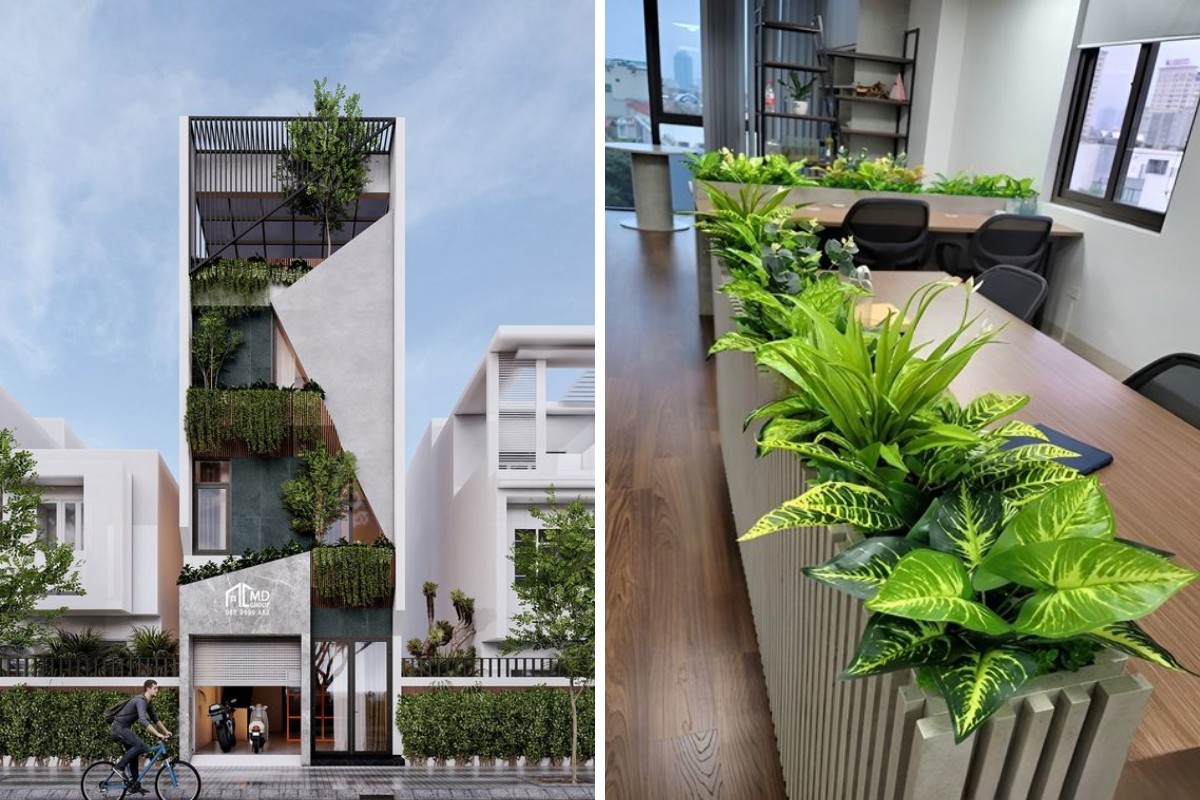 Tạo thiết kế nhà ở kết hợp văn phòng xanh