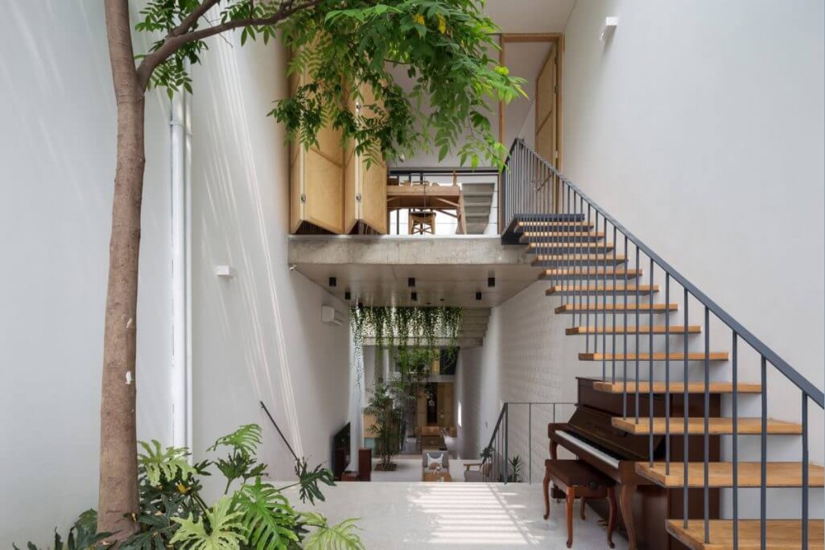Thiết kế văn phòng nhà ống với cây xanh