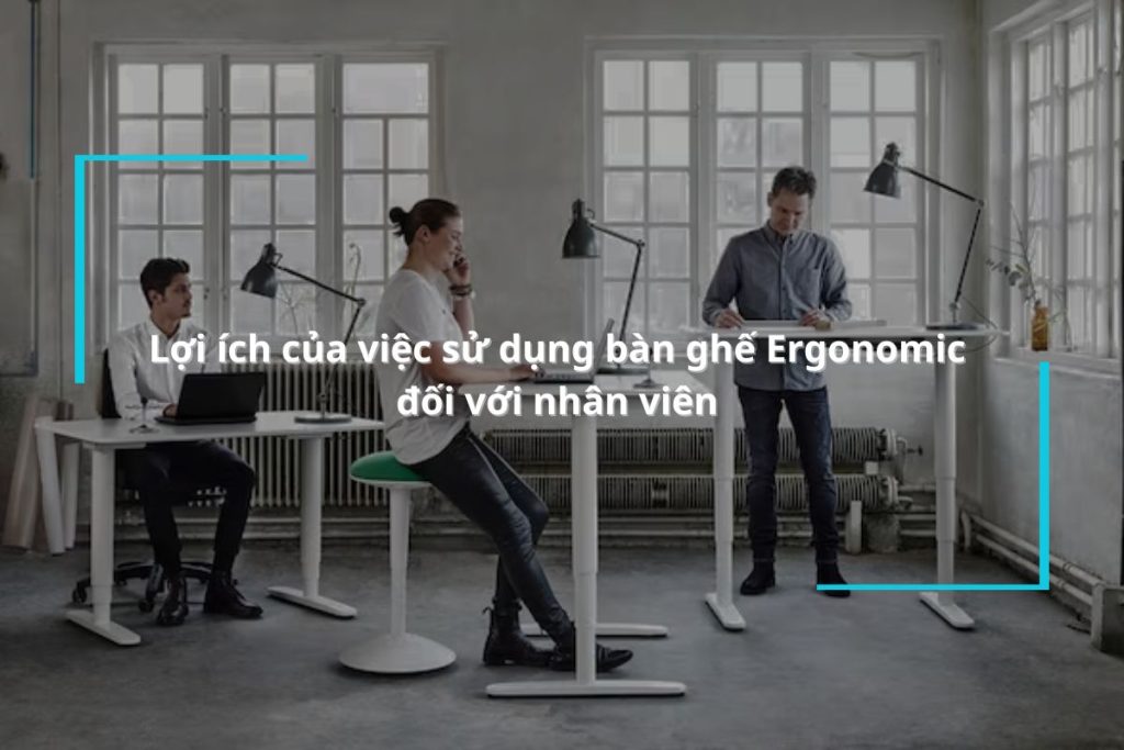 Lợi ích của việc sử dụng bàn ghế Ergonomic đối với nhân viên