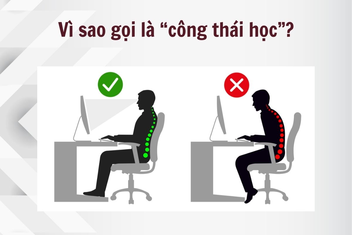 Tìm hiểu về công thái học