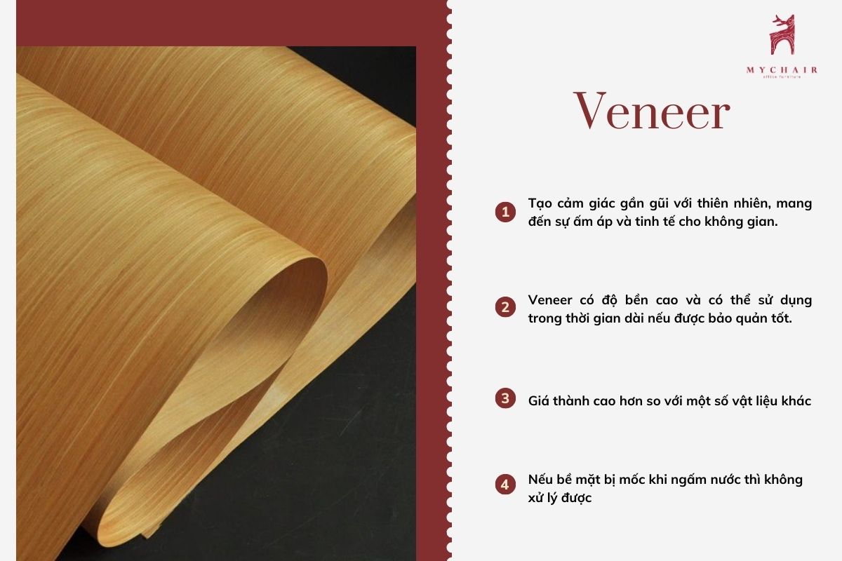 Đặc điểm của Veneer