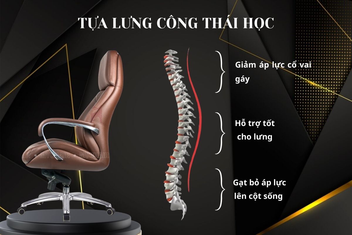 MO101A trang bị tựa lưng công thái học