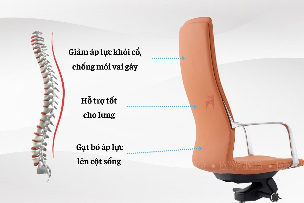 Thiết kế công thái học được áp dụng trong bộ sưu tập Modern