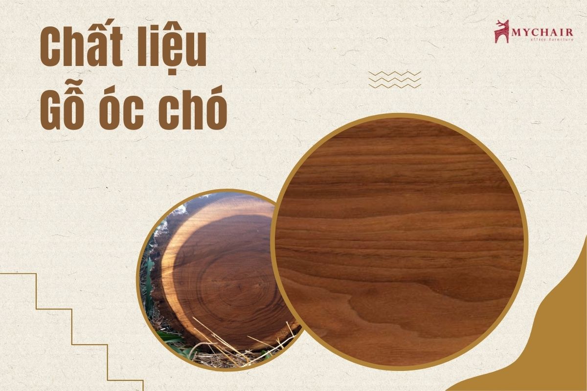 NBLD03 được làm từ chất liệu cao cấp