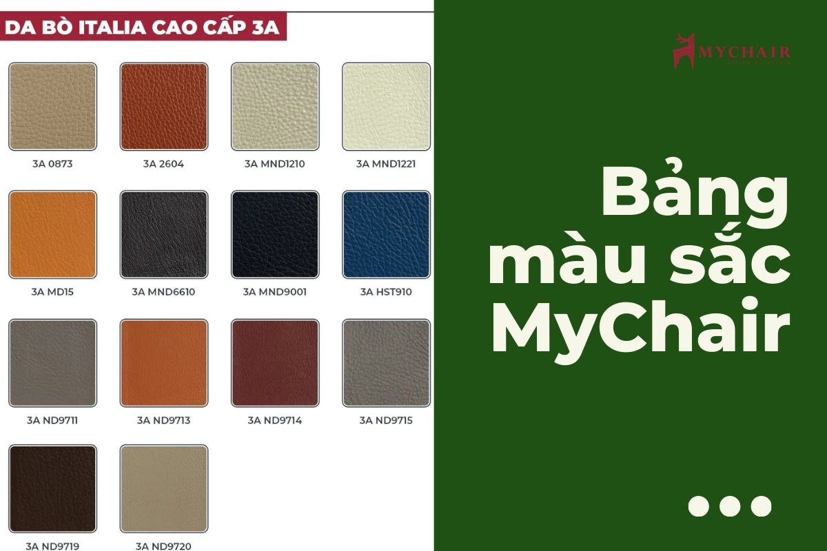 Bảng màu ghế giám đốc đa dạng