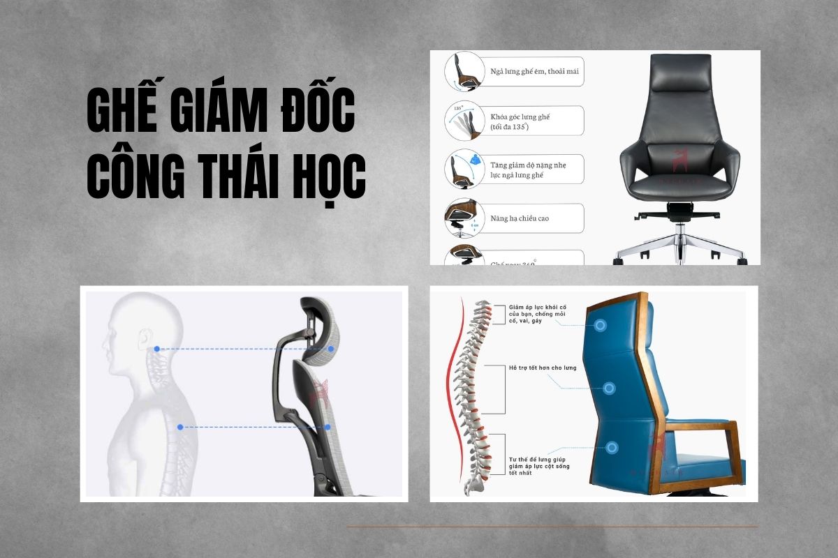 Lựa chọn ghế giám đốc với thiết kế công thái học hỗ trợ cơ thể
