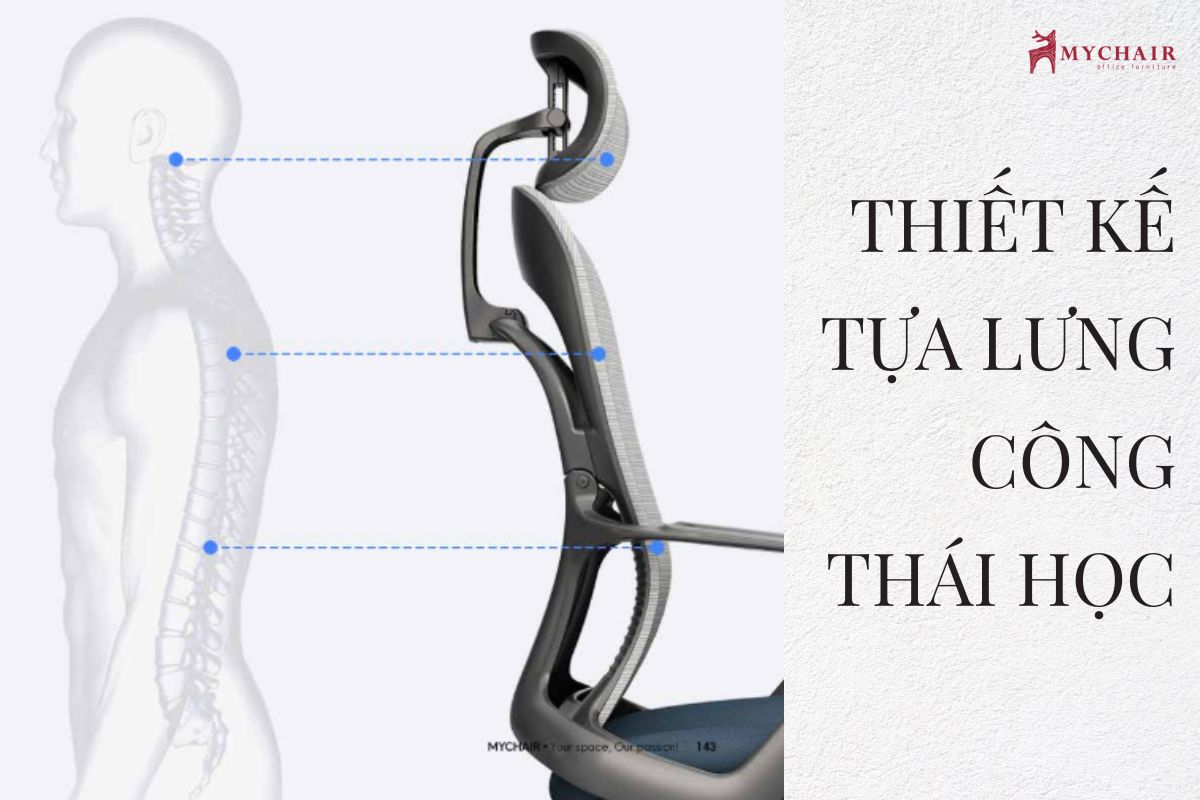 Lựa chọn ghế có thiết kế công thái học