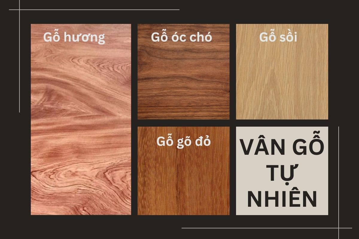 Mỗi loại gỗ tự nhiên sở hữu vân gỗ riêng biệt