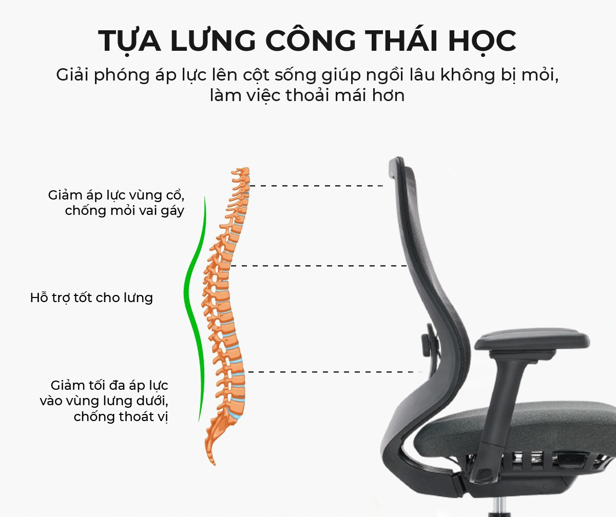 Ghế Xoay Văn Phòng MyChair XKSDA Ghế Xoay Văn Phòng MyChair XKSDA