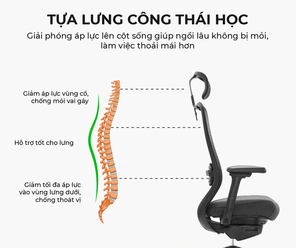 Ghế Lưới Văn Phòng MyChair AXTDA Cao Cấp