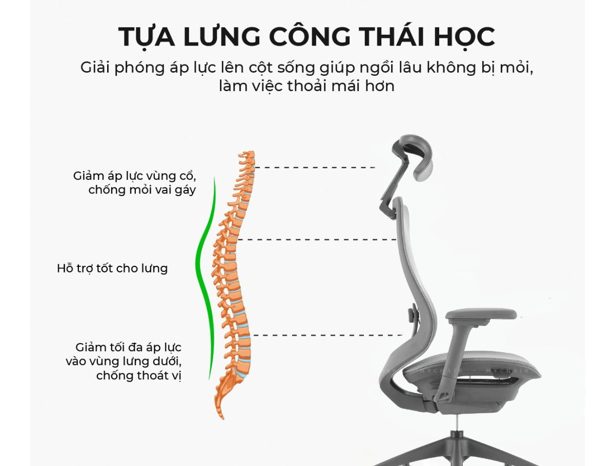 Ghế Xoay Văn Phòng Cao Cấp MyChair XKMDA