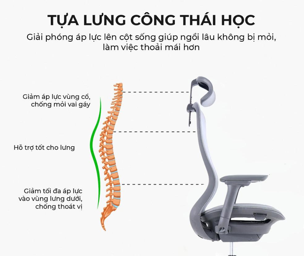 Ghế Xoay Văn Phòng Cao Cấp MyChair VXMDA