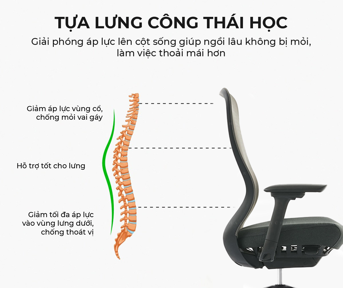 Ghế Xoay Văn Phòng Cao Cấp MyChair VXSDA Ghế Xoay Văn Phòng Cao Cấp MyChair VXSDA
