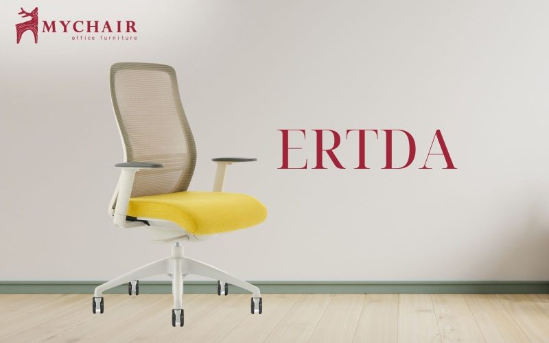 Ghế văn phòng ERTDA chỉ từ 2 triệu đảm bảo chất lượng tốt nhất